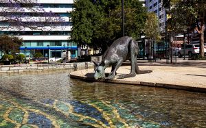 Kangaroo Statues in the CBD area of Perth. 